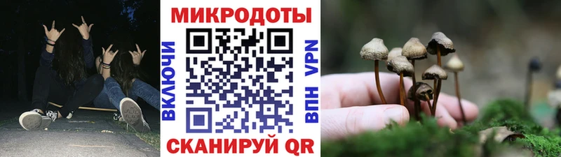 Галлюциногенные грибы прущие грибы  Карасук 
